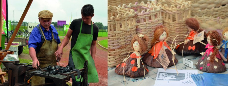 2015 dan6 t7
